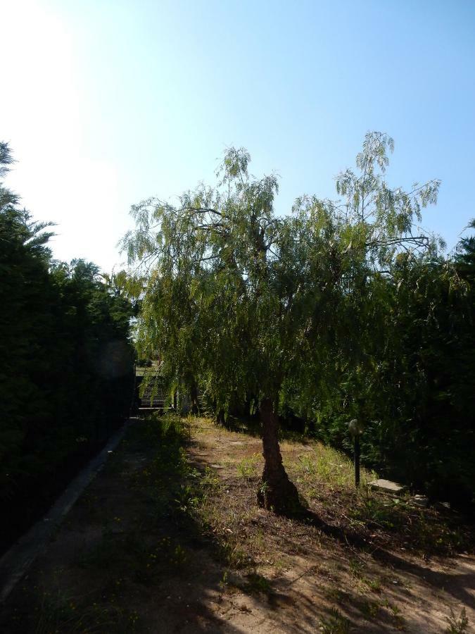 Vere Vacanze 托里德欧索 外观 照片